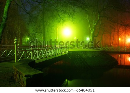This is a view of local park in the fog at night.
