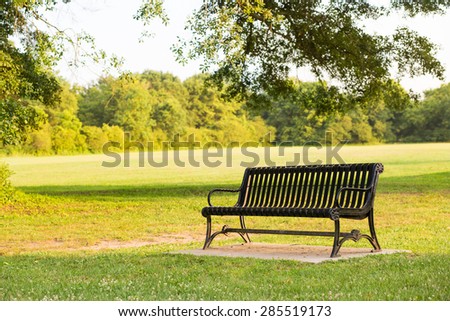 Black park bench in a park during warm summer sunset with green field and trees background