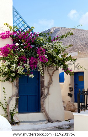 Flowers in entrance to the house, Greece, Santorini