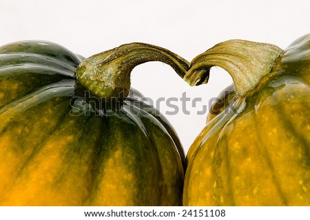 Vegetables in love, twigs heart shape of marrow squash
