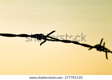 first silhouettes line Barbed with Evening sky