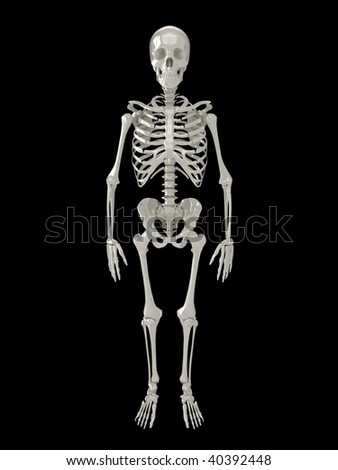 Skeleton Black Background