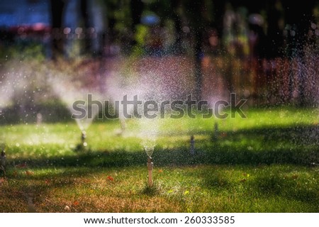Garden sprinkler on a sunny summer day during watering the green lawn in garden.
