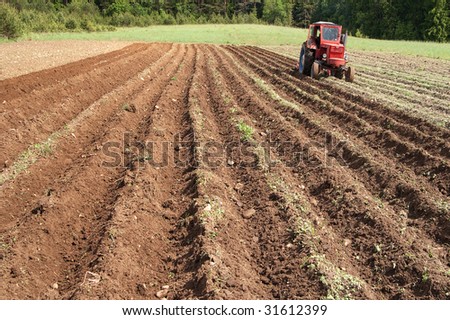 Tractor  on a field preparing the soil for planting in the country nearby