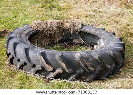 [Obrazek: stock-photo-used-tire-thrown-away-in-the...388139.jpg]