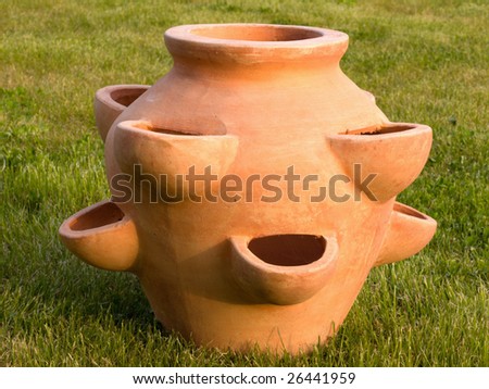 Image of the funny flowerpot, for various flowers or herbs in one
