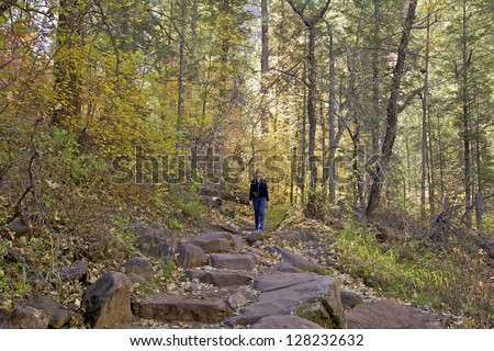 Hiking West Fork Oak Creek Sedona Arizona in Fall
