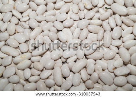 a lot of white beans Photo