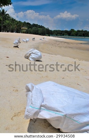 Beach clean up with white garbage bags dotting the coastline