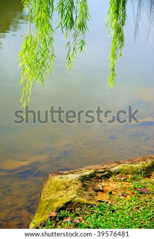 Weeping willow tree above a rock at a river bank, symbolizing peace and serenity