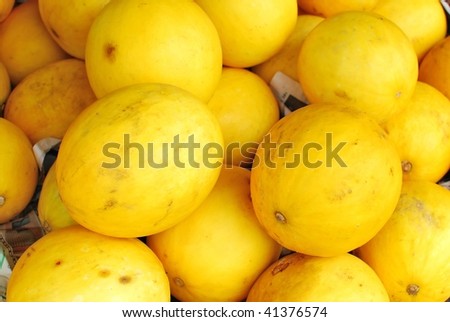 Freshly picked yellow melons. Suitable for concepts such as food and beverage, healthy eating and healthy lifestyle, and fruits and vegetables.