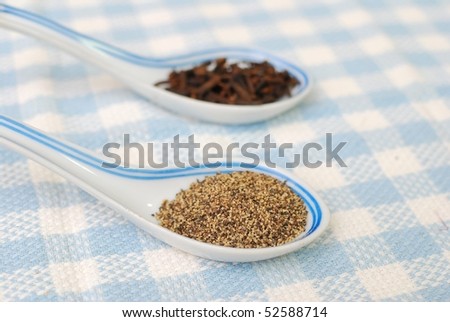 Spices and seasoning as food ingredients for cooking. Concepts such as food and beverage, healthy eating, and diet and nutrition.