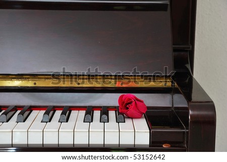 Red rose on piano keyboard signifying concepts such as love of music, creativity and love and romance.