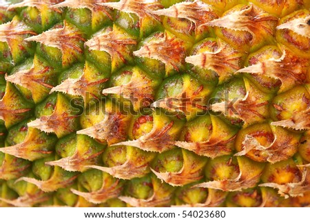 Ripe Pineapple fruit texture. For food and beverage, healthcare, abstract and diet and nutrition concepts.