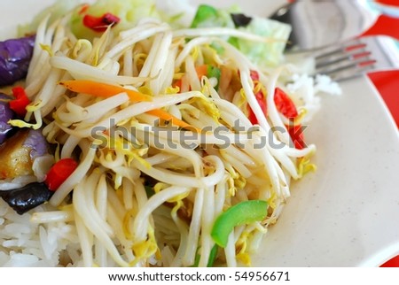 Asian healthy vegetarian meal of bean sprouts and rice. For concepts such as food and beverage, healthy eating, and diet and nutrition.