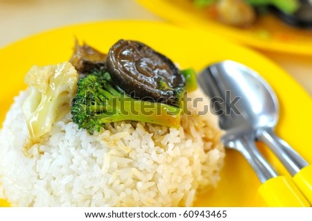 White steamed rice with vegetables and mushroom cooked oriental style. Rice is the stable diet in most Asian countries. For diet and nutrition, healthy eating and lifestyle concepts.