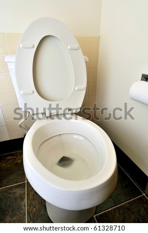 Closeup of generic toilet seat and bowl. For hygiene and cleanliness concepts.