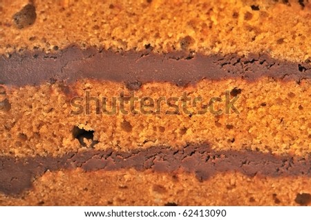 Cross section of sponge cake showing layered texture. For abstract and textured backgrounds.