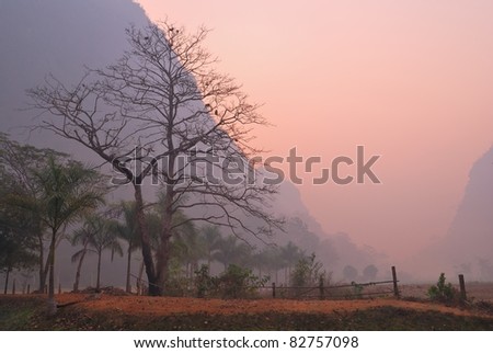 Bare majestic tree with mountain in background on a misty dawn with fallen leaves on ground.