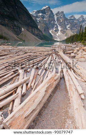 Cut logs floating in water with majestic snowy mountains in background.