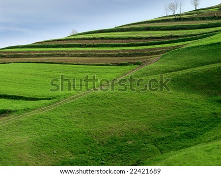 Cultivated land field in Slovakia