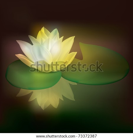 abstract floral illustration with lotus on dark