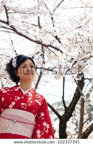 attractive japanese woman wearing kimono with cherry blossoms
