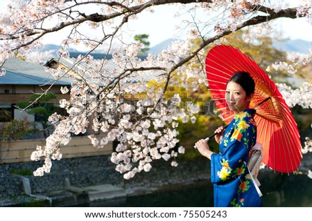 a portrait of japanese kimono woman and cherry blossom