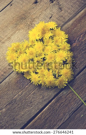 Summer background with yellow dandelions /Heart from dandelions