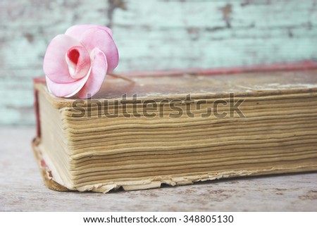 pink rose on book wooden background