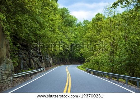 A road in the forest.