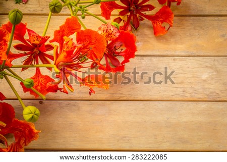 Orange flowers, old wooden floors, wooden tables, warm vintage wilted.