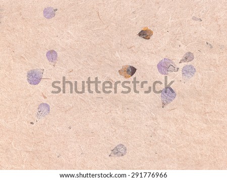 Closeup of Handmade paper texture with flower petals and inclusions of colored spots on a beige background. Useful for scrapbooking and greeting cards scrapbooks. Sa Paper. Mulberry paper background.
