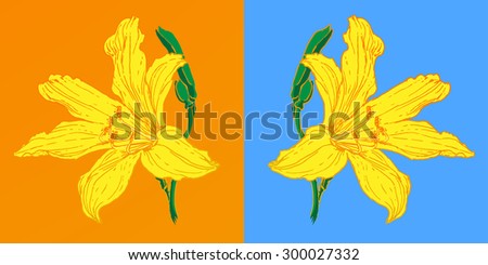 2 Flowers. Two Lilly on orange and light blue background. Yellow Lilies in Bloom. Yellow flowers with buds. Flat style vector.