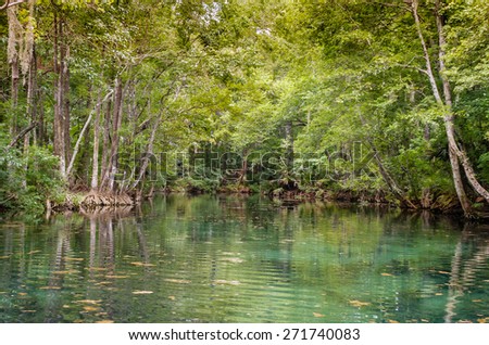 Silver River Florida