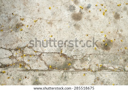 Dirty cracked concrete texture with tiny yellow flower drop