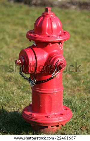 Red Fire Hydrant on the grass