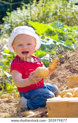 Baby boy is playing with potatoes in the garden. He is smiling.