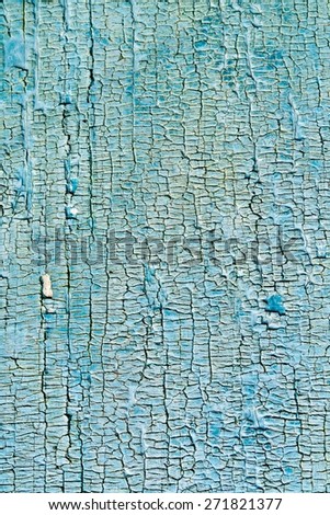Texture of the old boards painted in blue color. Rotten boards in the paint.