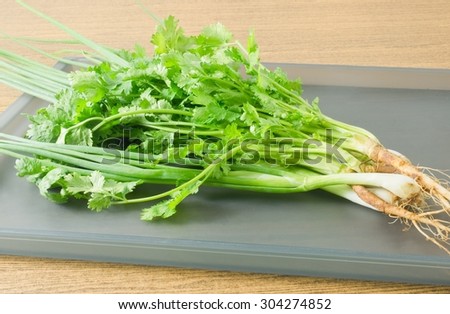 Vegetable and Herb, Bunch of Parsley, Chinese Parsley or Coriander and Scallion for Seasoning in Cooking on A Tray.