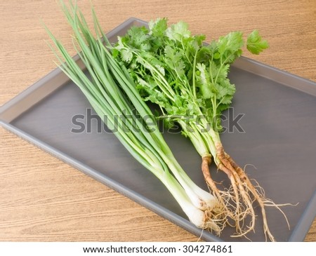 Vegetable and Herb, Bunch of  Parsley, Chinese Parsley or Coriander and Scallion for Seasoning in Cooking on A Tray.