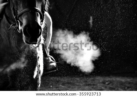 horse exhale