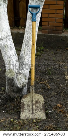 Modern metal shovel spade at the tree on the ground in the garden