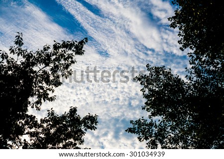 Dark contour of green tree leaves against blue sky background