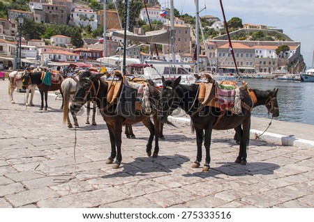 Transport by horses, mules and donkeys in Hydra, Greece