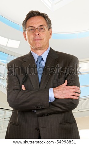 Successful middle age businessman wearing suit and tie