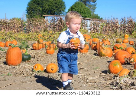 Cute toddler boy finding his first pumpkin while walking through a pumpkin patch.