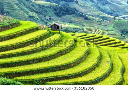 Little House on the terraced fields protruding government vast blue and gold across the hills. It was voted as the top ten in the world beautiful landscapes created by man