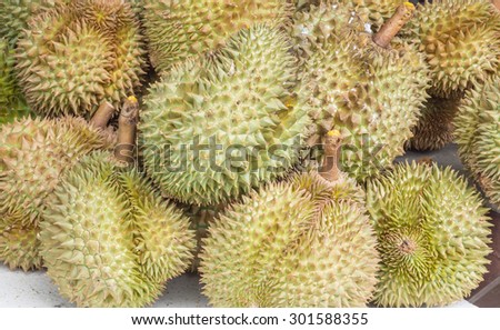 Group of durian fruits in the market for sale.They are fruit that smelly with some people do not like this fruits.