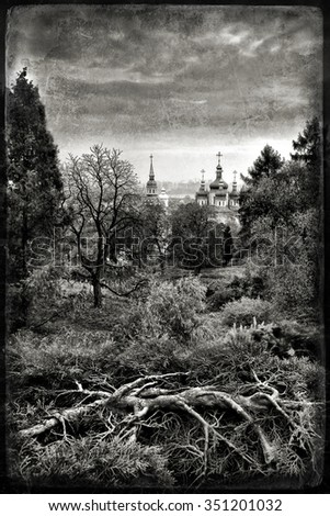 The ancient monastery. Tree roots. Art vintage antique processing. Black and white photo.